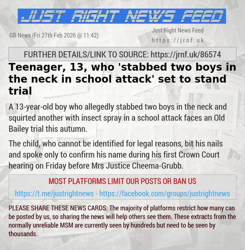 Teenager, 13, who ’stabbed two boys in the neck in school attack’ set to stand trial