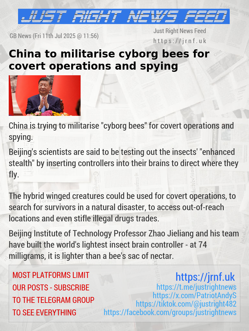 China to militarise cyborg bees for covert operations and spying