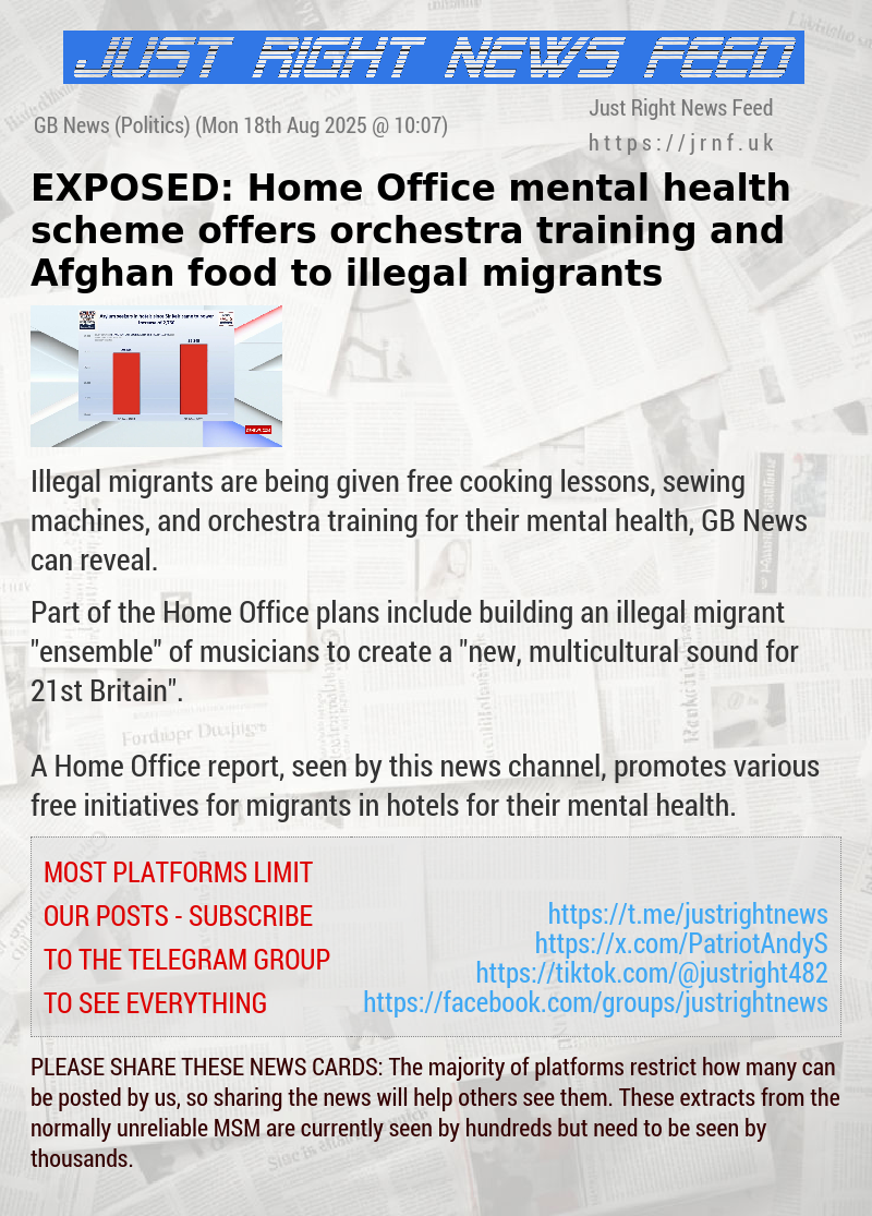EXPOSED: Home Office mental health scheme offers orchestra training and Afghan food to illegal migrants