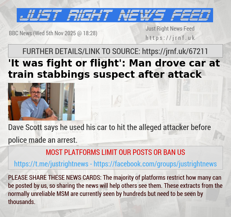 ’It was fight or flight’: Man drove car at train stabbings suspect after attack