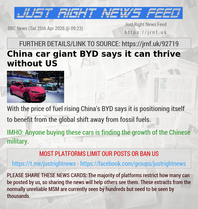 China car giant BYD says it can thrive without US