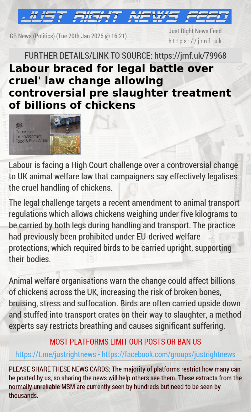 Labour braced for legal battle over ‘cruel’ law change allowing controversial pre—slaughter treatment of billions of chickens