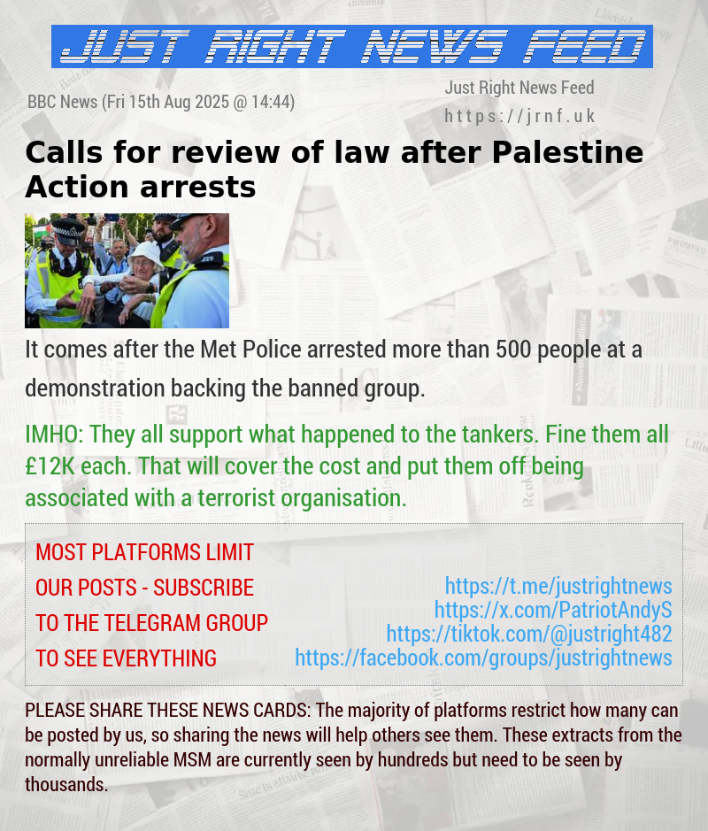 Calls for review of law after Palestine Action arrests