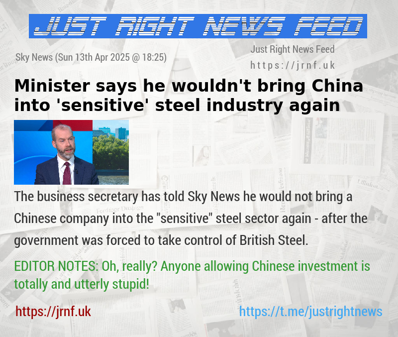 Minister says he wouldn’t bring China into ’sensitive’ steel industry again