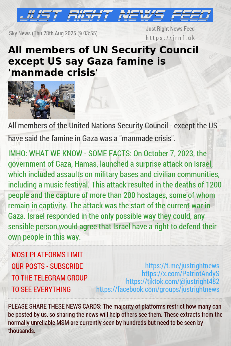 All members of UN Security Council except US say Gaza famine is ’manmade crisis’