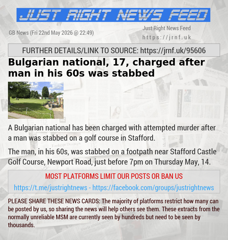 Bulgarian national, 17, charged after man in his 60s was stabbed