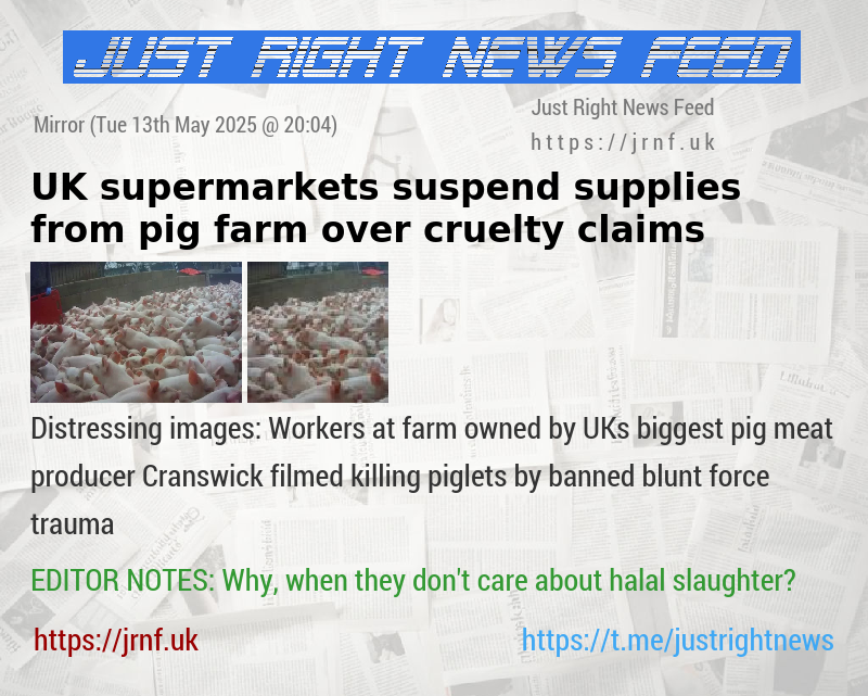 UK supermarkets suspend supplies from pig farm over cruelty claims