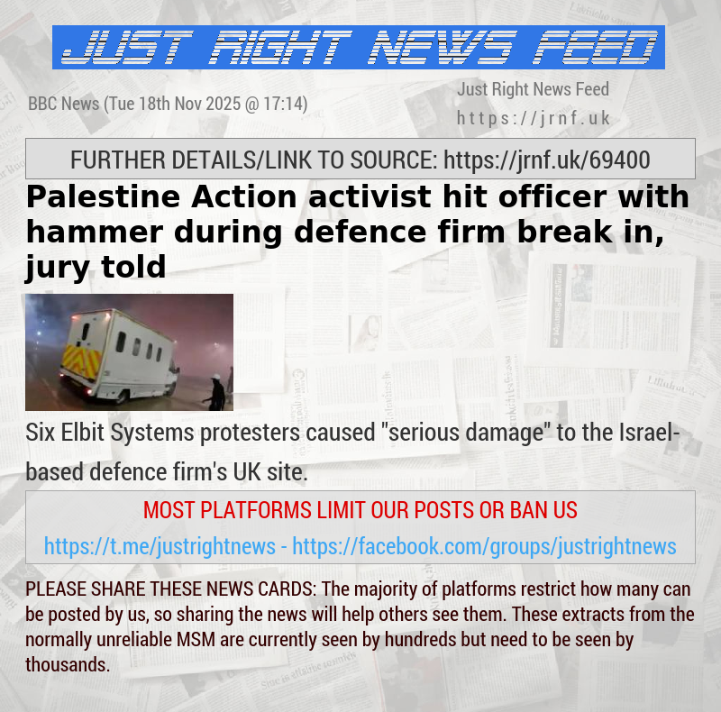 Palestine Action activist hit officer with hammer during defence firm break—in, jury told