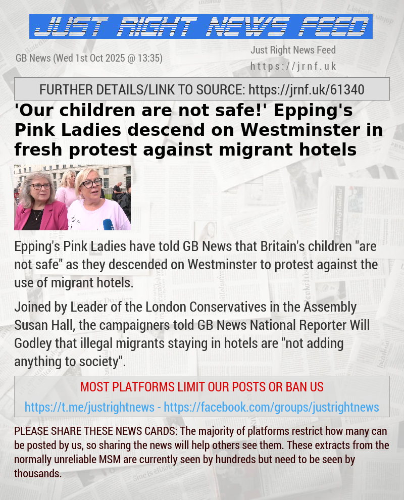 ’Our children are not safe!’ Epping’s Pink Ladies descend on Westminster in fresh protest against migrant hotels