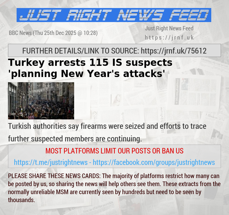Turkey arrests 115 IS suspects ’planning New Year’s attacks’