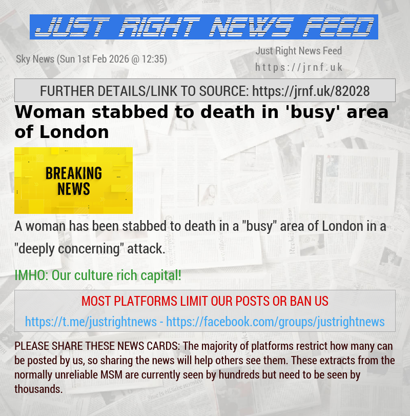 Woman stabbed to death in ’busy’ area of London