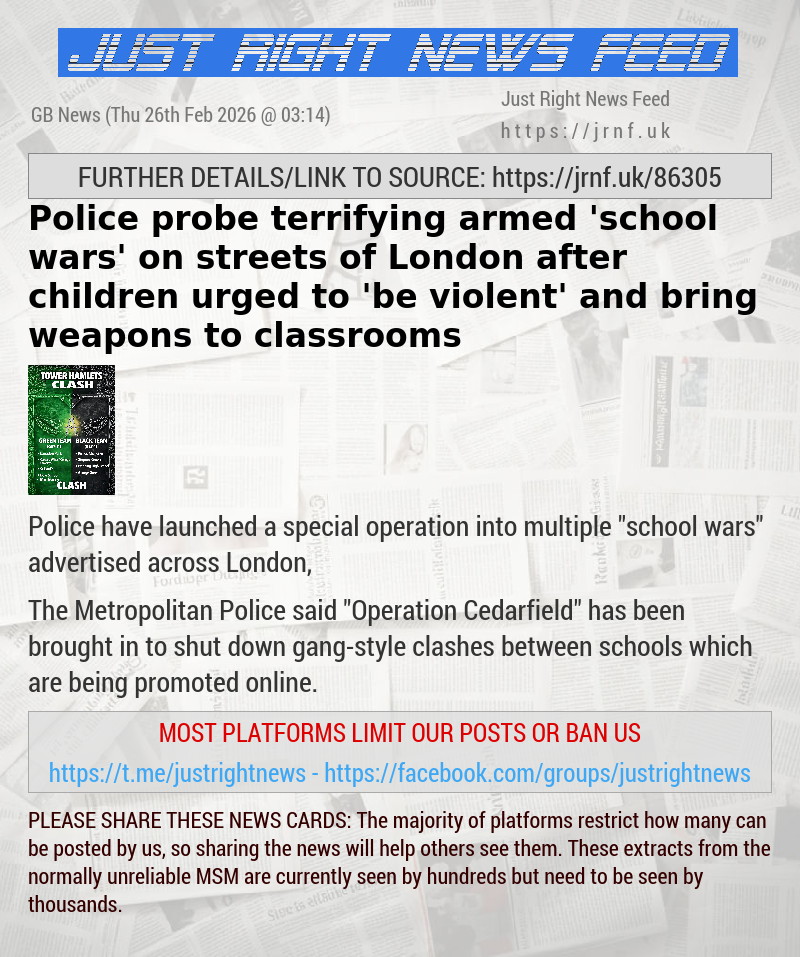 Police probe terrifying armed ’school wars’ on streets of London after children urged to ’be violent’ and bring weapons to classrooms
