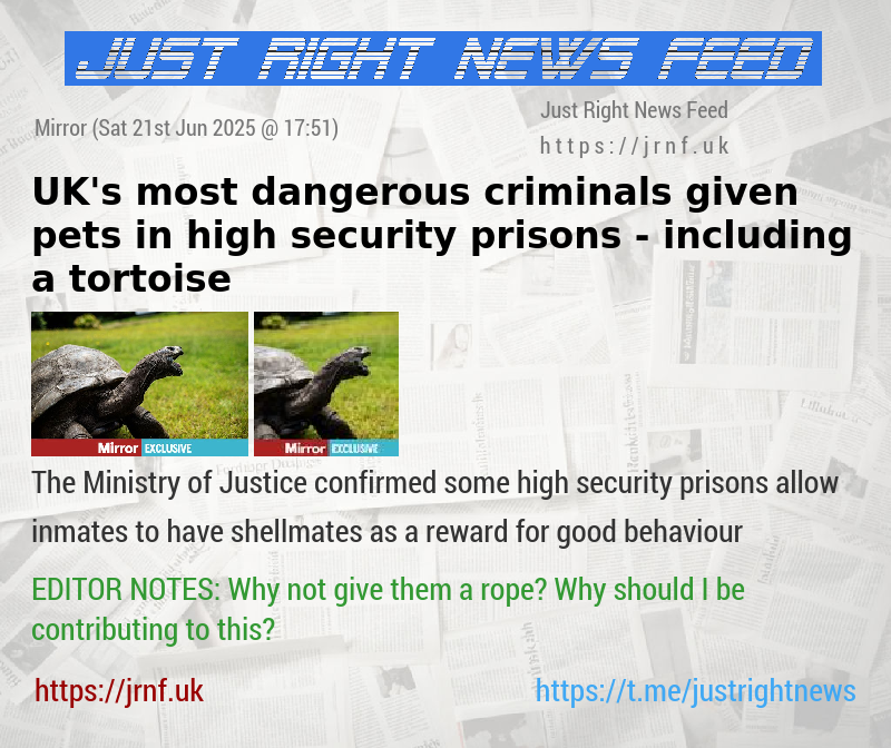 UK’s most dangerous criminals given pets in high security prisons — including a tortoise