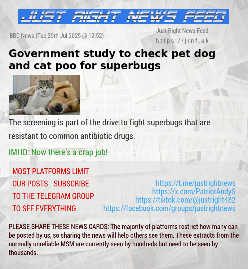Government study to check pet dog and cat poo for superbugs