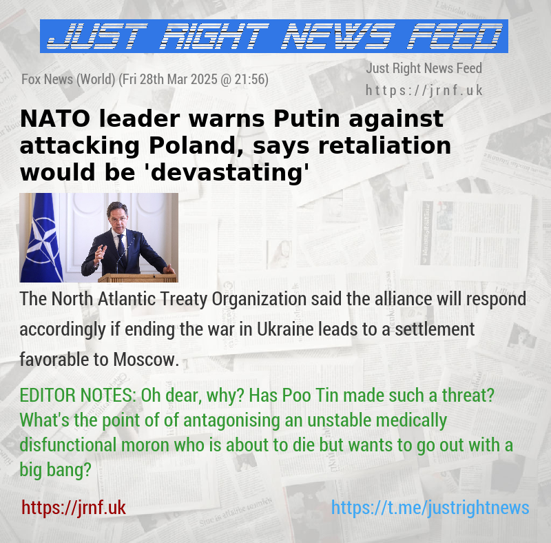NATO leader warns Putin against attacking Poland, says retaliation would be ’devastating’