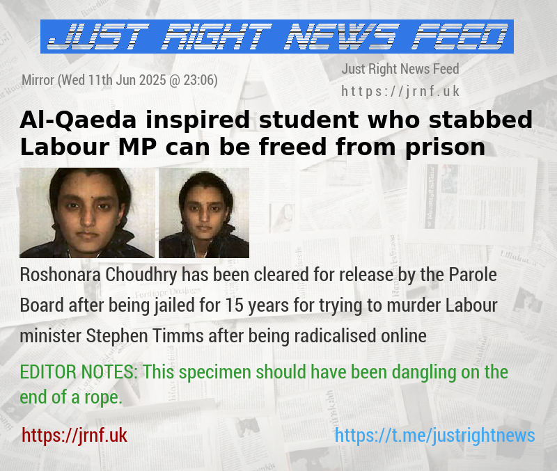 Al—Qaeda inspired student who stabbed Labour MP can be freed from prison