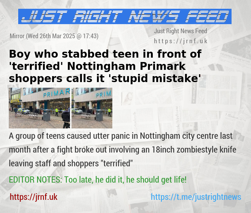 Boy who stabbed teen in front of ’terrified’ Nottingham Primark shoppers calls it ’stupid mistake’