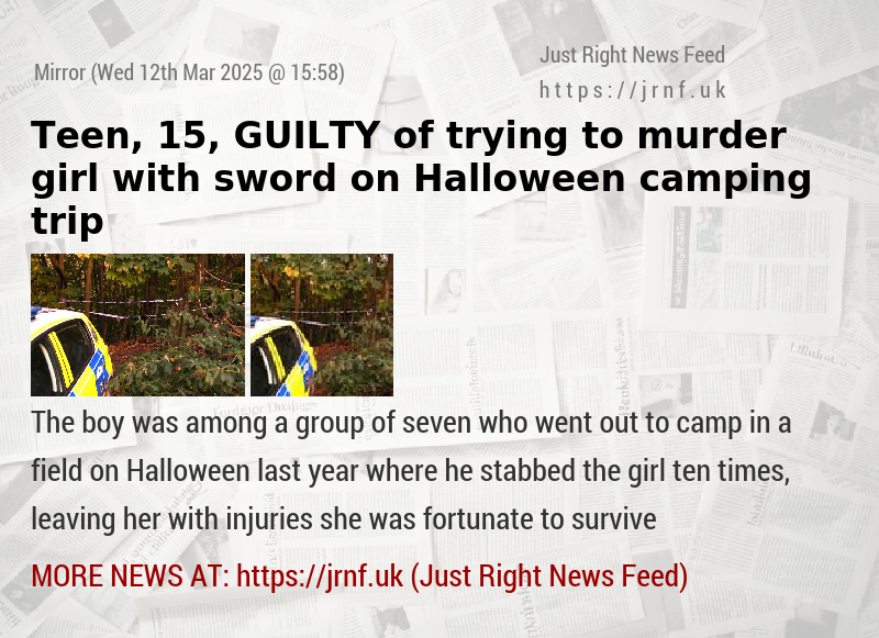 Teen, 15, GUILTY of trying to murder girl with sword on Halloween camping trip