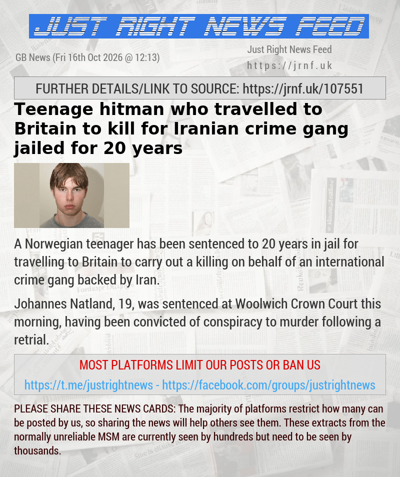 Teenage hitman who travelled to Britain to kill for Iranian crime gang jailed for 20 years