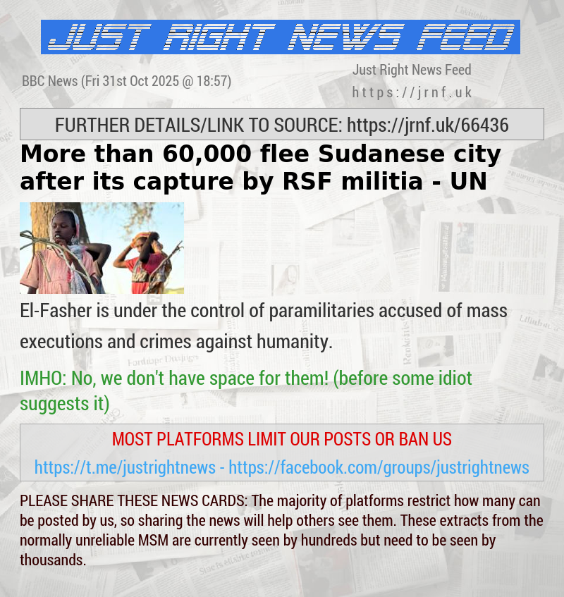 More than 60,000 flee Sudanese city after its capture by RSF militia — UN