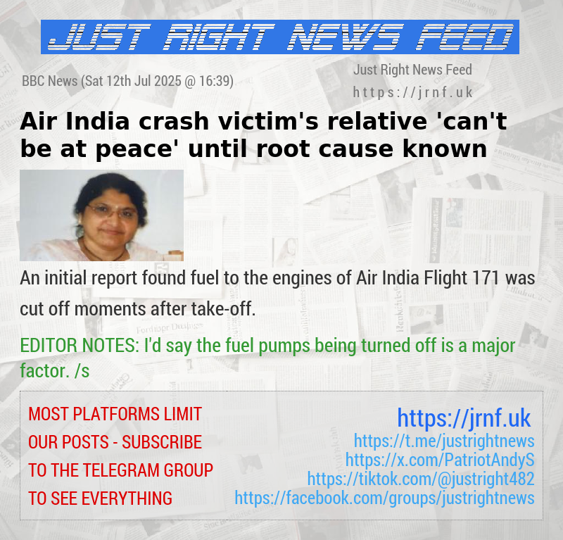 Air India crash victim’s relative ’can’t be at peace’ until root cause known