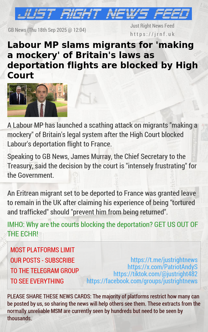 Labour MP slams migrants for ’making a mockery’ of Britain’s laws as deportation flights are blocked by High Court