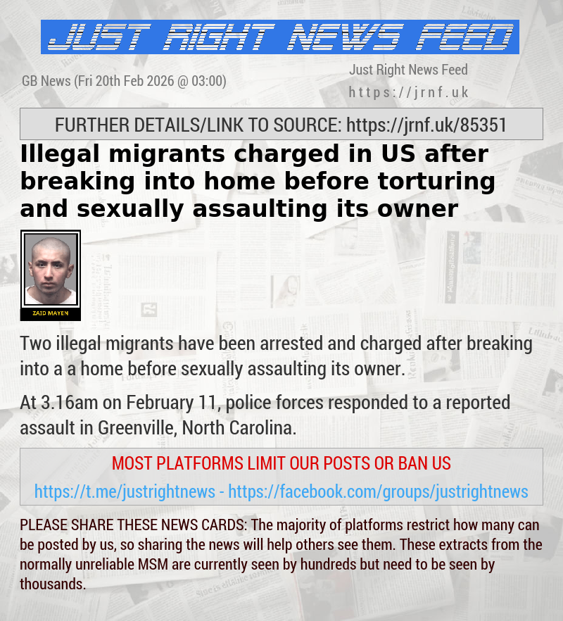 Illegal migrants charged in US after breaking into home before torturing and sexually assaulting its owner