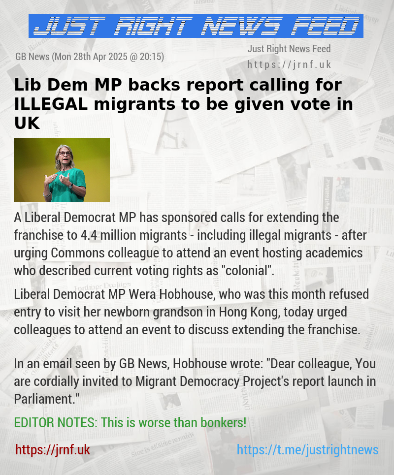 Lib Dem MP backs report calling for ILLEGAL migrants to be given vote in UK