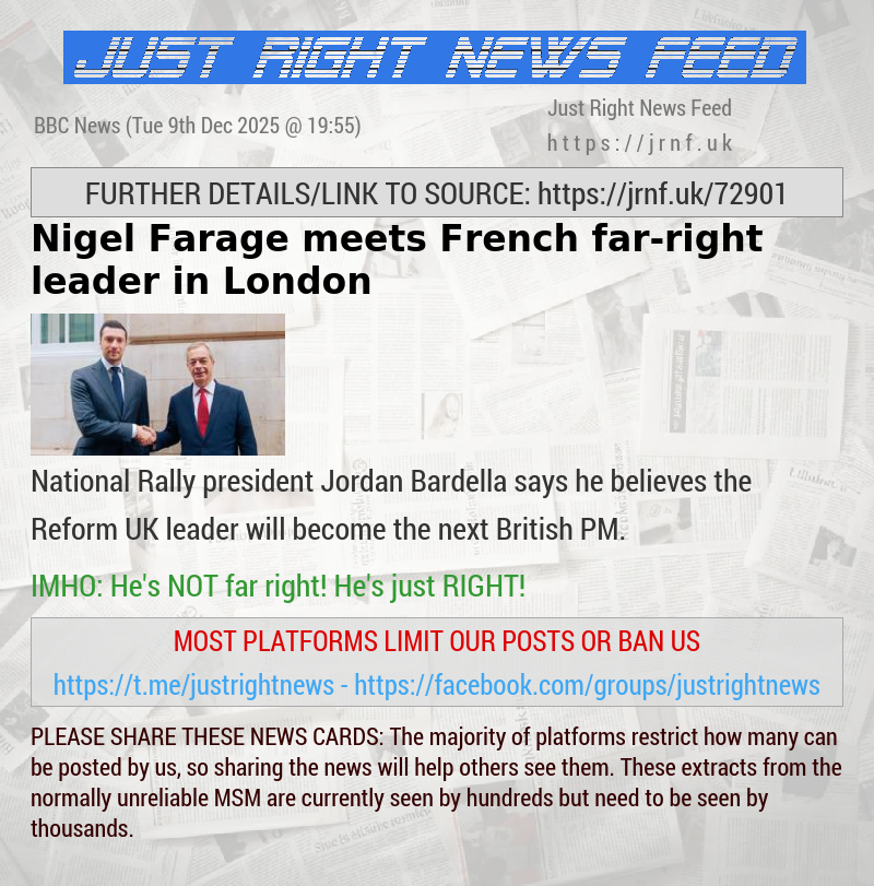 Nigel Farage meets French far—right leader in London