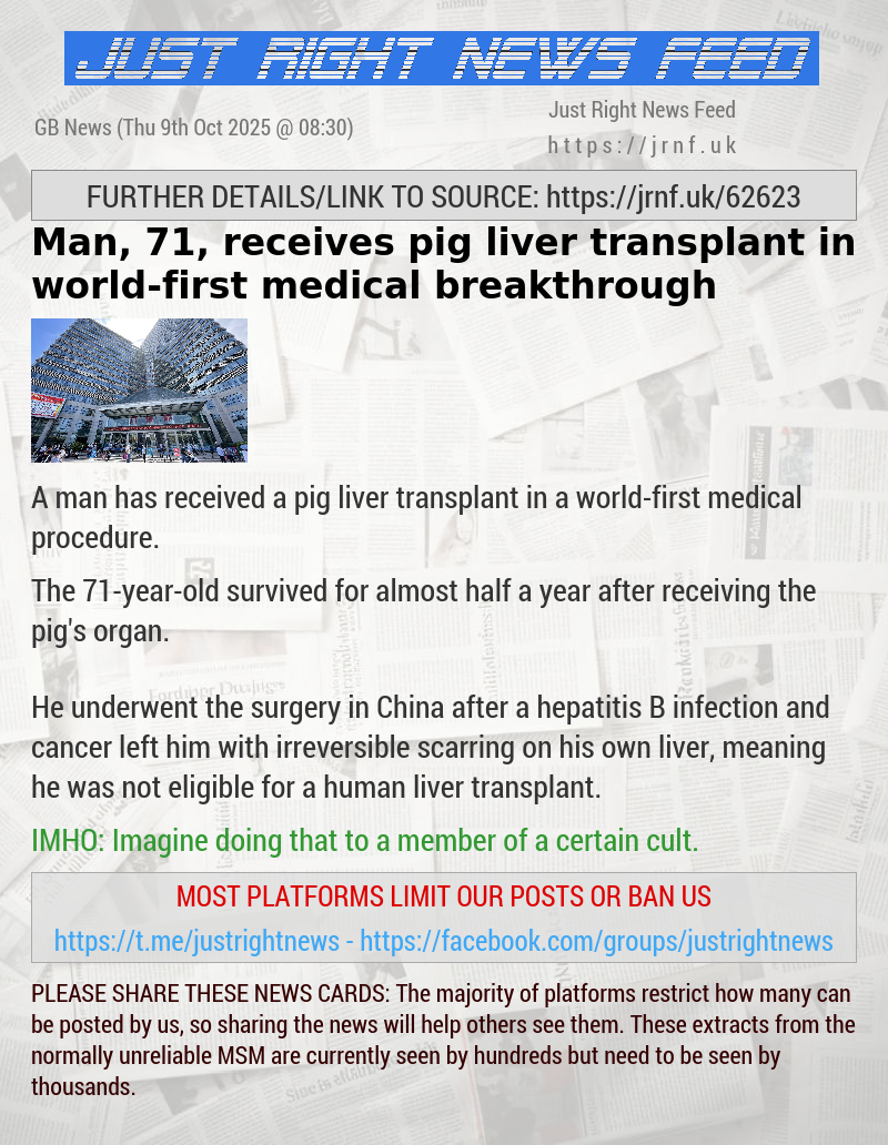 Man, 71, receives pig liver transplant in world—first medical breakthrough