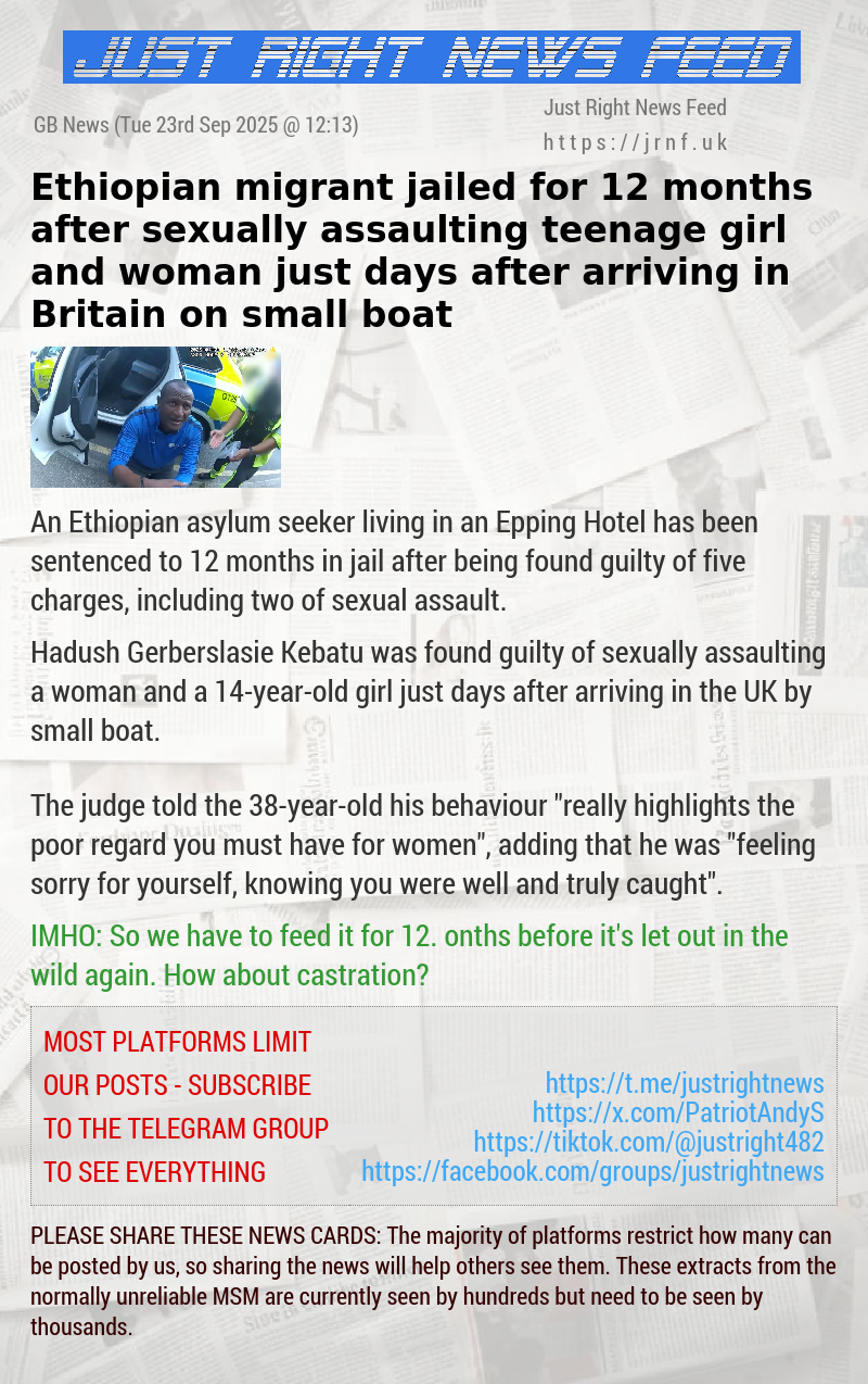 Ethiopian migrant jailed for 12 months after sexually assaulting teenage girl and woman just days after arriving in Britain on small boat