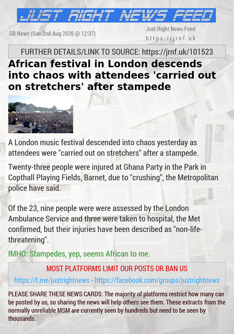 African festival in London descends into chaos with attendees ’carried out on stretchers’ after stampede