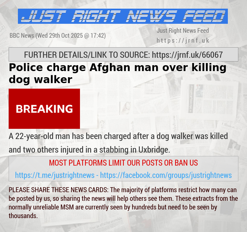 Police charge Afghan man over killing dog walker