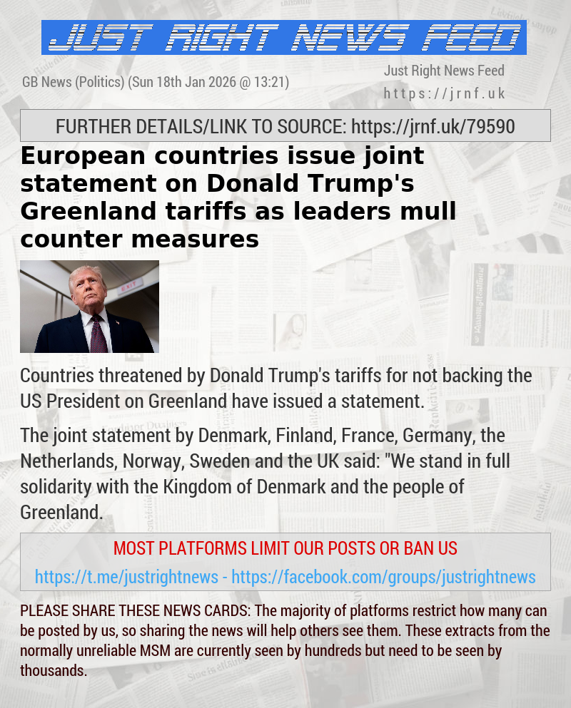 European countries issue joint statement on Donald Trump’s Greenland tariffs as leaders mull counter—measures
