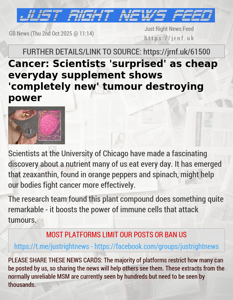Cancer: Scientists ’surprised’ as cheap everyday supplement shows ’completely new’ tumour—destroying power