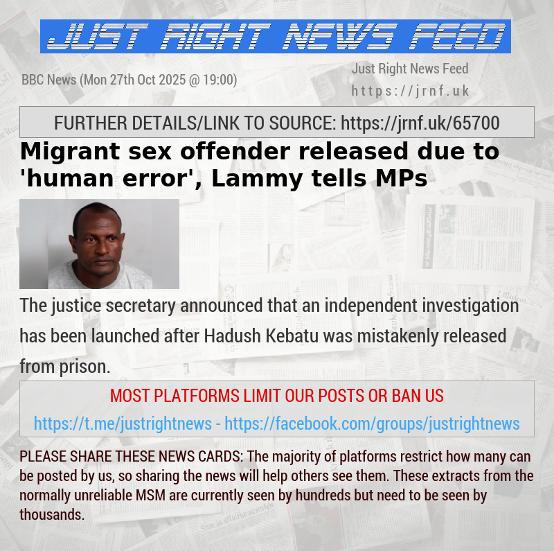 Migrant sex offender released due to ’human error’, Lammy tells MPs