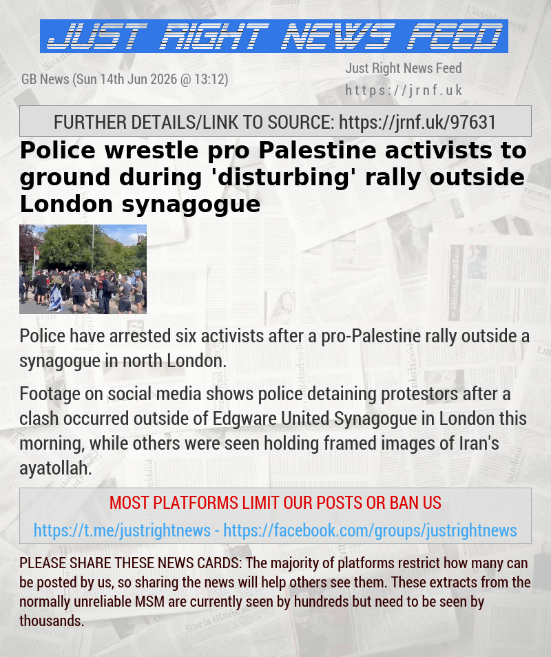 Police wrestle pro—Palestine activists to ground during ’disturbing’ rally outside London synagogue