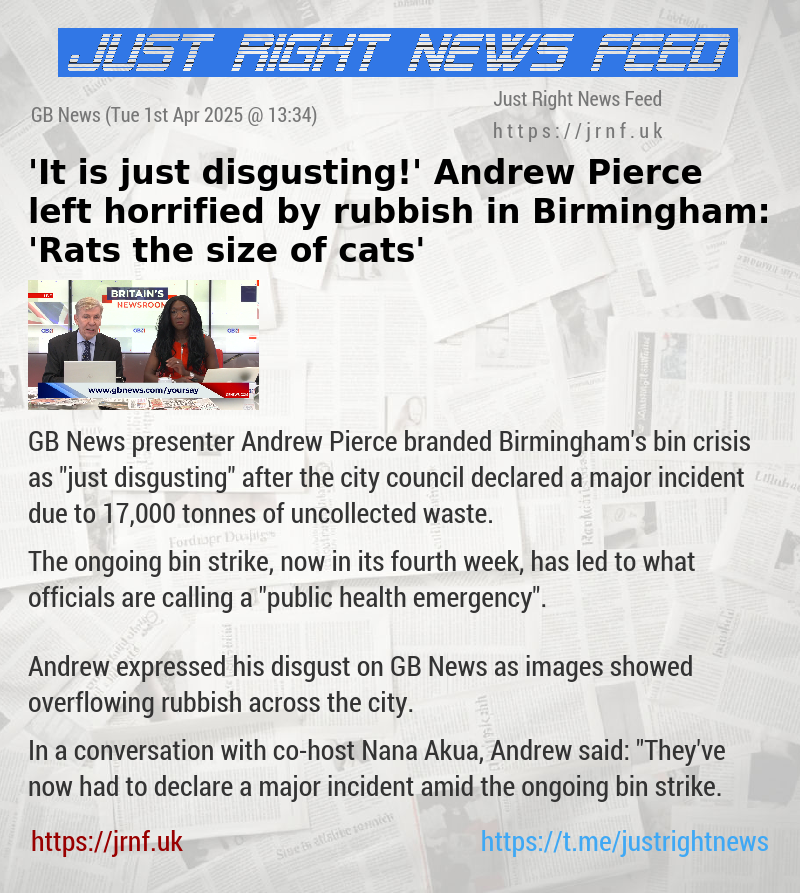 ’It is just disgusting!’ Andrew Pierce left horrified by rubbish in Birmingham: ’Rats the size of cats’