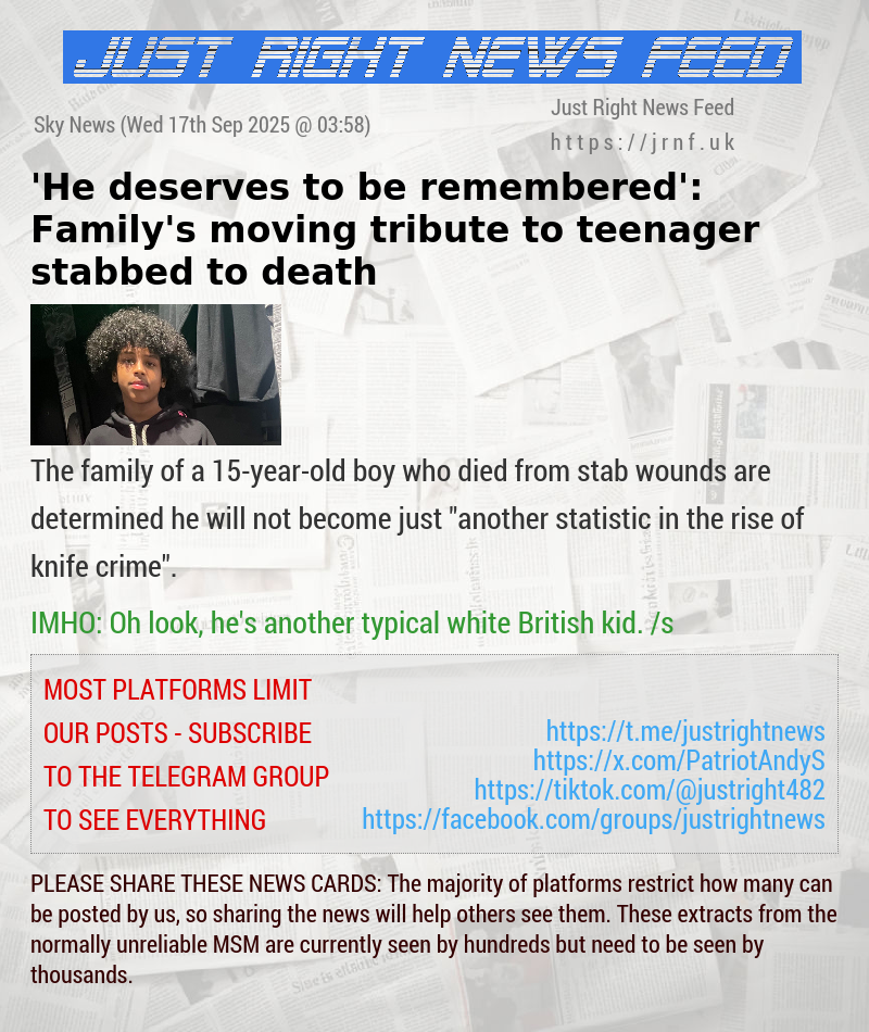’He deserves to be remembered’: Family’s moving tribute to teenager stabbed to death