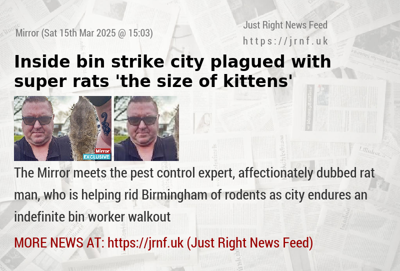 Inside bin strike city plagued with super rats ’the size of kittens’
