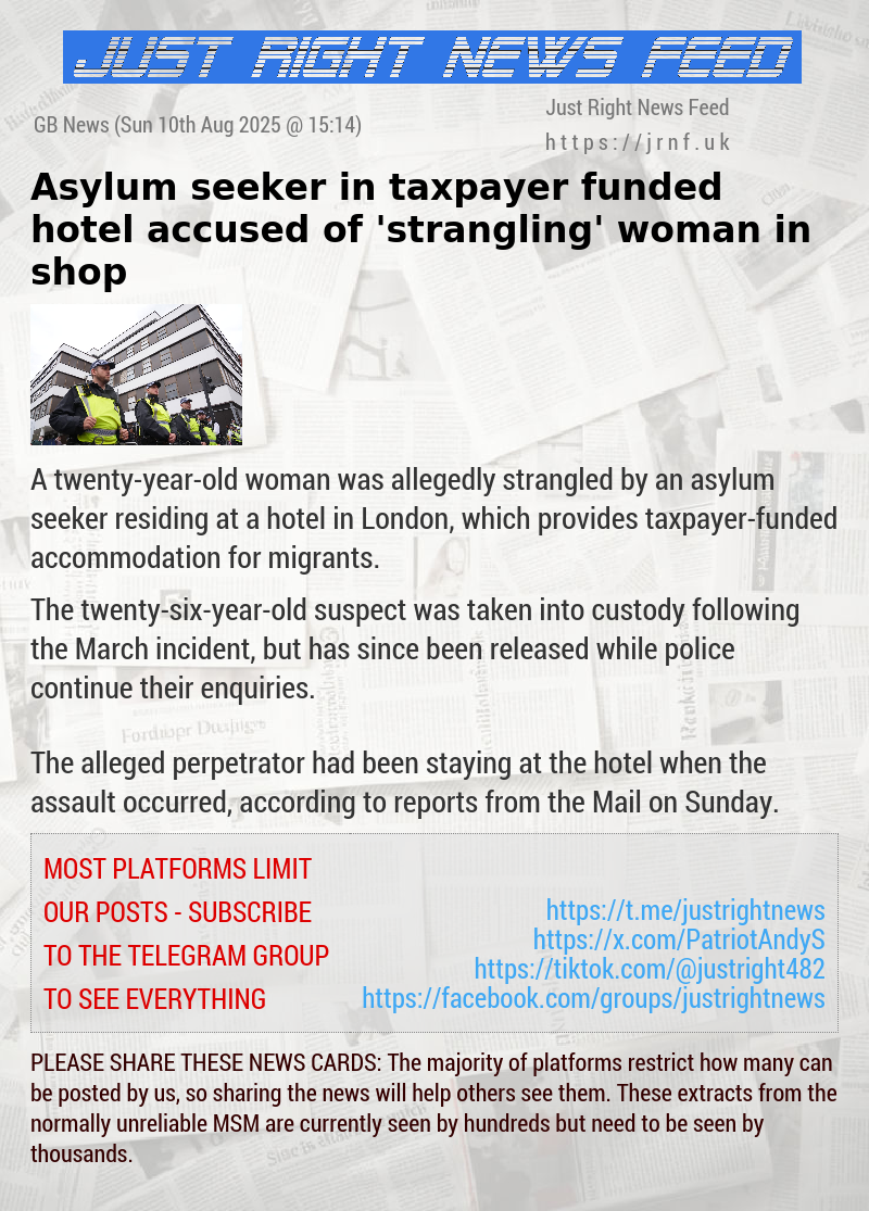 Asylum seeker in taxpayer—funded hotel accused of ’strangling’ woman in shop