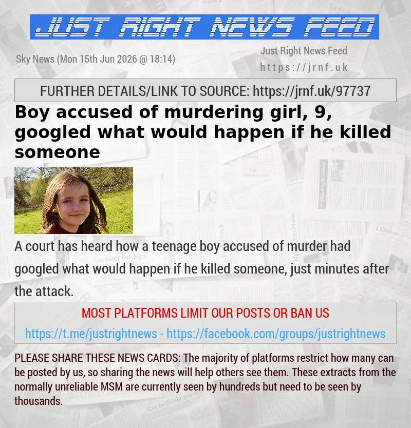 Boy accused of murdering girl, 9, googled what would happen if he killed someone