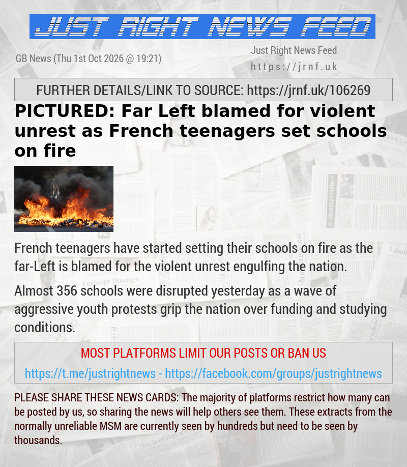 PICTURED: Far—Left blamed for violent unrest as French teenagers set schools on fire