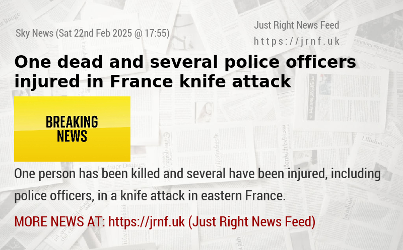 One dead and several police officers injured in France knife attack