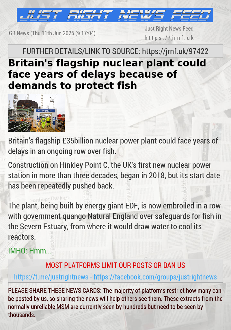 Britain’s flagship nuclear plant could face years of delays because of demands to protect fish