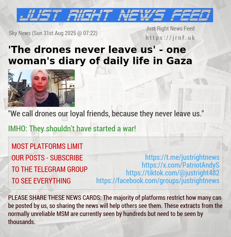 ’The drones never leave us’ — one woman’s diary of daily life in Gaza