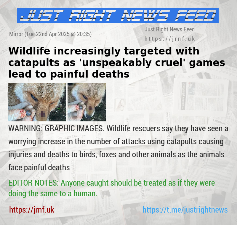 Wildlife increasingly targeted with catapults as ’unspeakably cruel’ games lead to painful deaths
