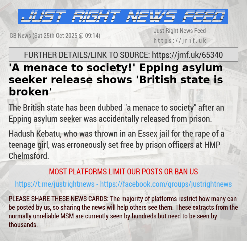 ’A menace to society!’ Epping asylum seeker release shows ’British state is broken’