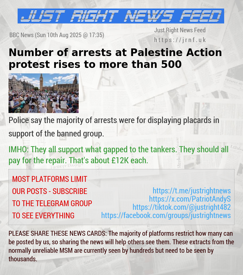 Number of arrests at Palestine Action protest rises to more than 500