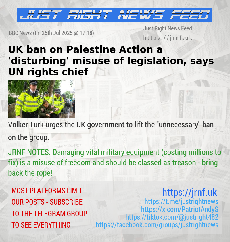 UK ban on Palestine Action a ’disturbing’ misuse of legislation, says UN rights chief